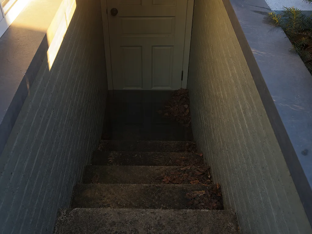 An exterior cellar stairwell with water pooled across the bottom two steps against a painted door and wet leaves in the corner